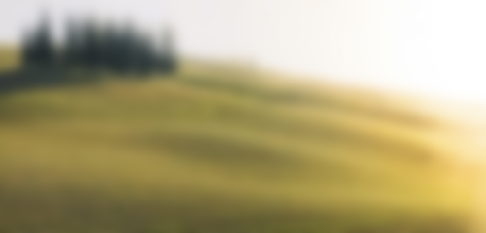 How to make homemade convenience foods?