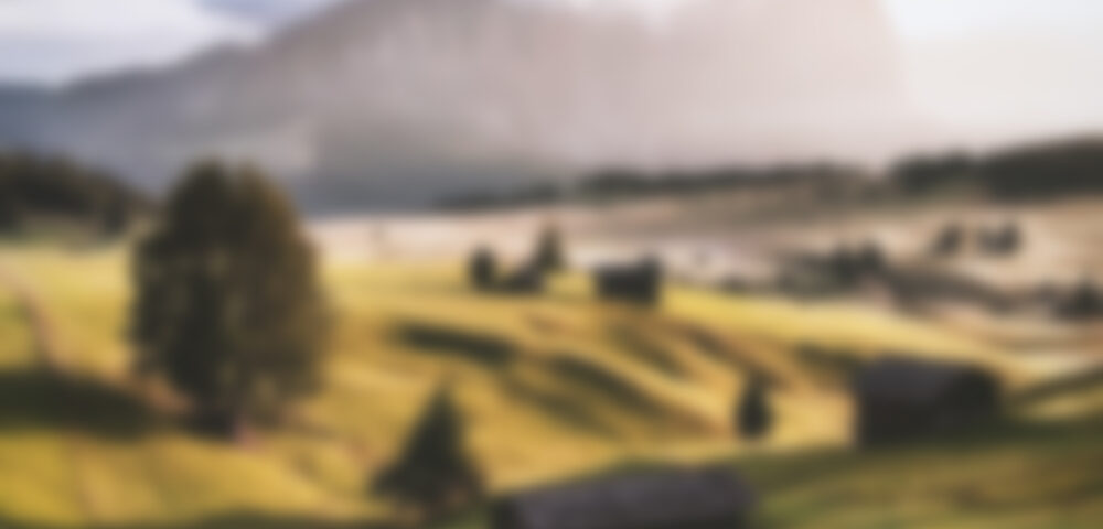 The best is shock freezing (the package should say shock freezing.