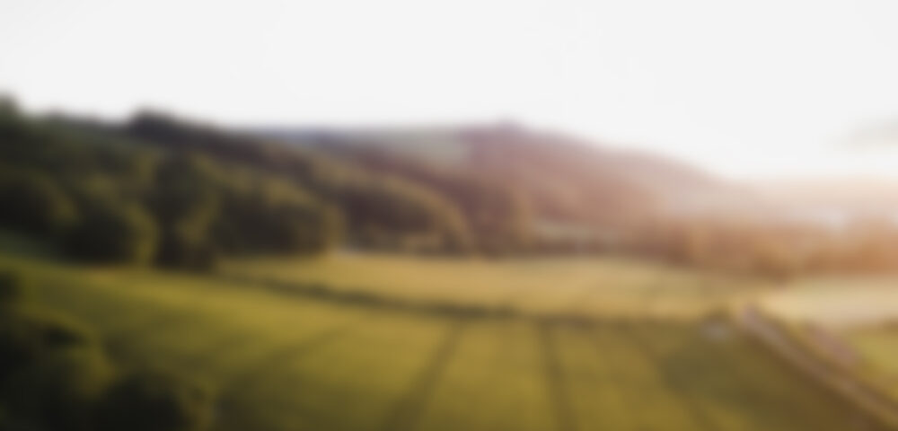 Instant porridge should not completely replace whole grain