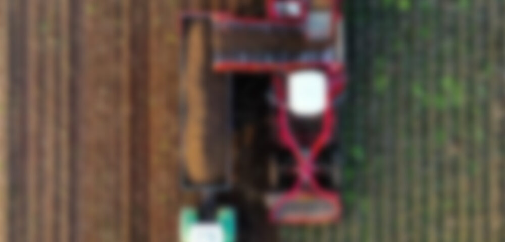 Our product contains amino acids and complete proteins.